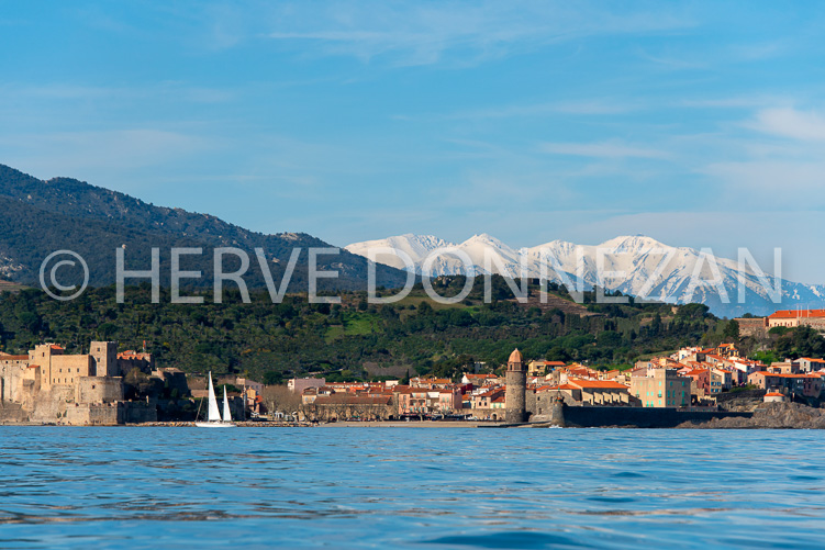 6124-0137177-COLLIOURE-CANIGOU-VOILIER-4