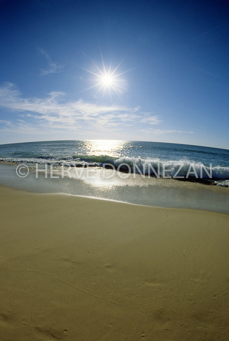 0061932_BEACH_FISH_EYE