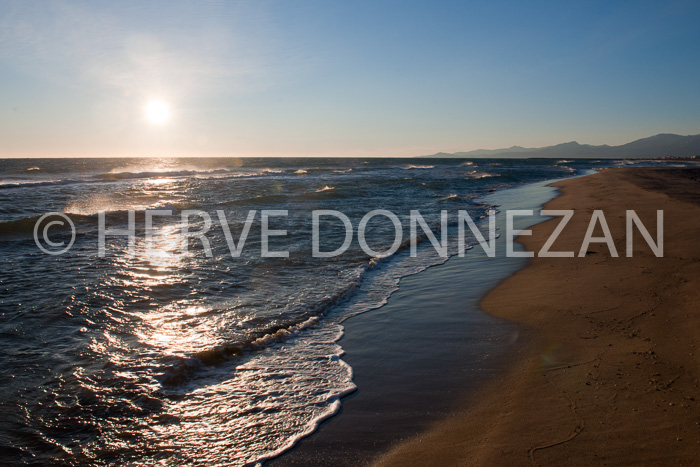 3917_5617_MARINE SUNRISE_BEACH