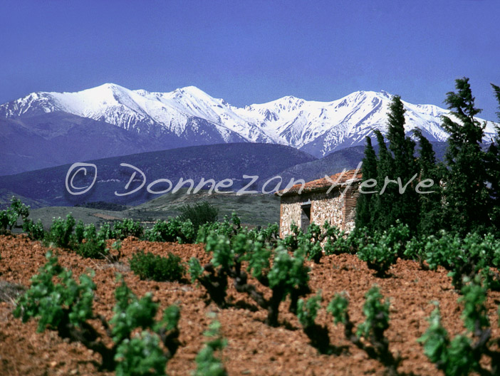 0002_177 CASOT ASPRES_CANIGOU