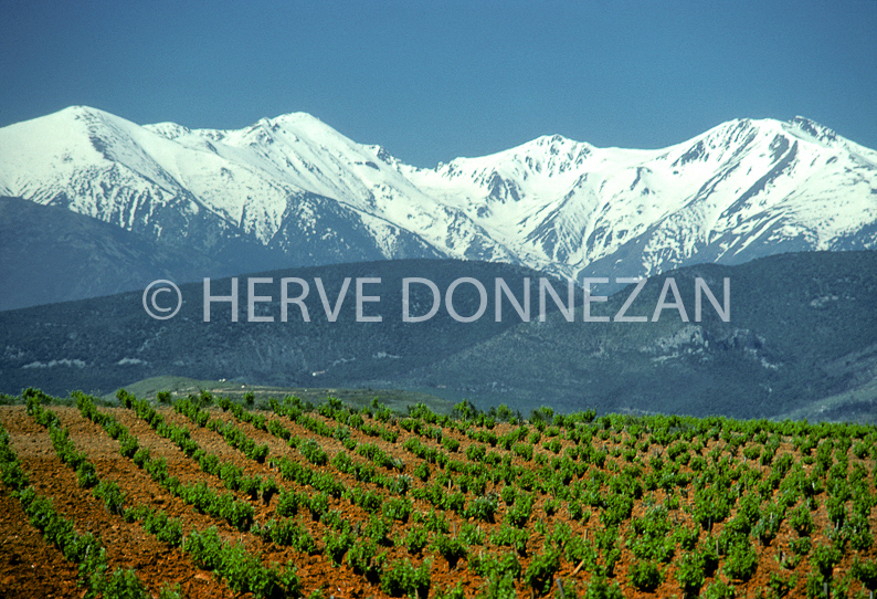 FRANCE PYRENEES ORIENTALES ASPRES CANIGOU