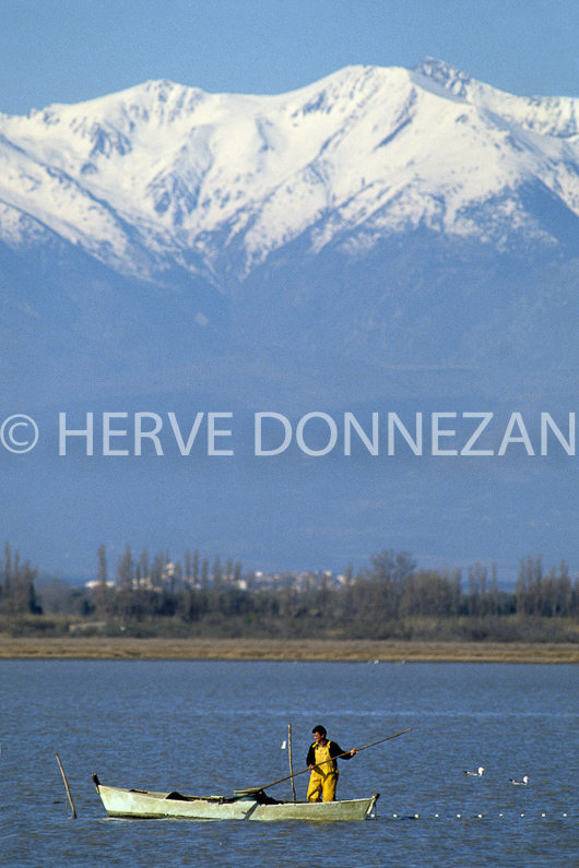 FRANCE ROUSSILLON PYRENEES ORIENTALES CANET EN ROUSSILLON CANIGOU