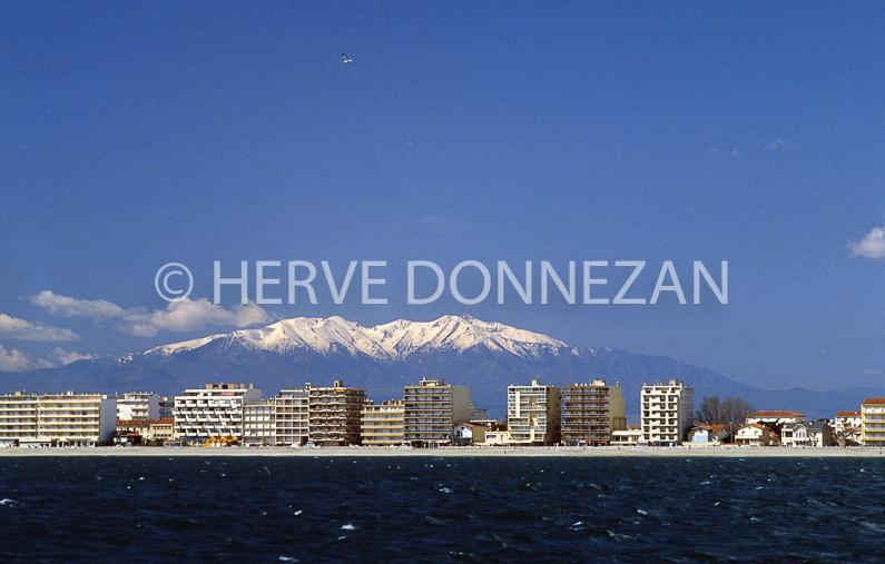 FRANCE ROUSSILLON PYRENEES ORIENTALES CANET EN ROUSSILLON 