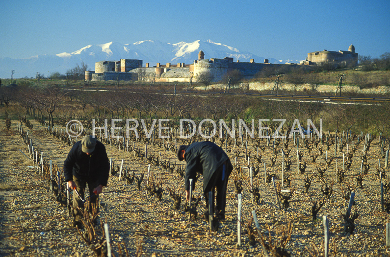 FRANCE ROUSSILLON PYRENEES ORIENTALES SALSES