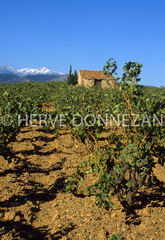 FRANCE ROUSSILLON ASPRES 