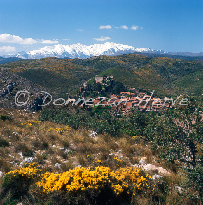 0088_CASTELNOU_CANIGOU