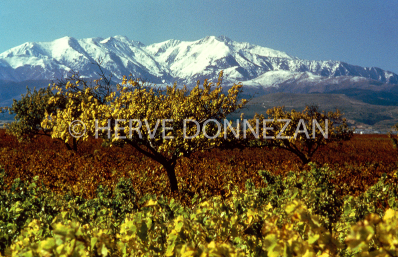 LES ASPRES ET CANIGOU 