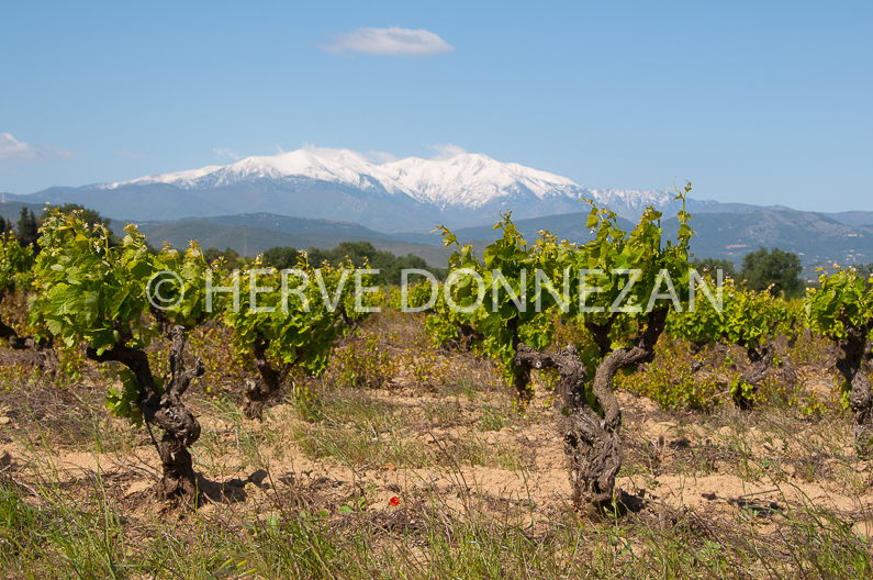 FRANCE ROUSSILLON ASPRES 