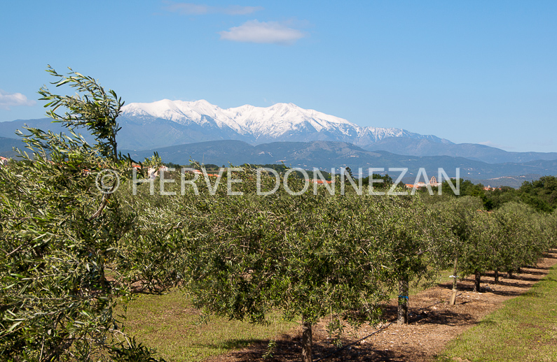 FRANCE ROUSSILLON ASPRES