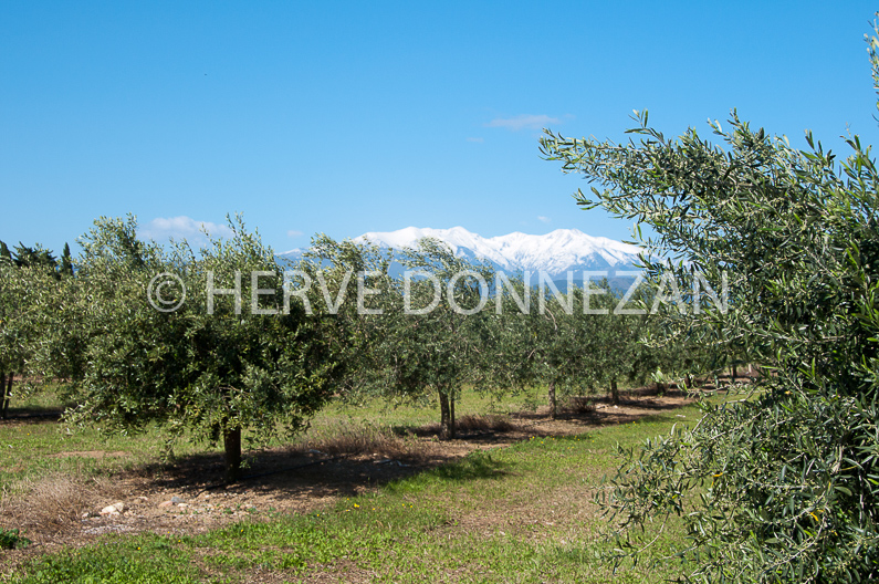 FRANCE ROUSSILLON ASPRES