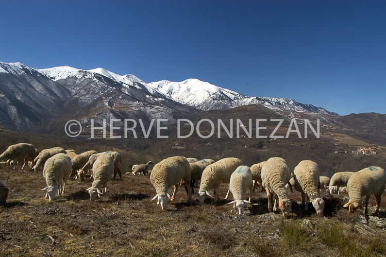 FRANCE ROUSSILLON ASPRES