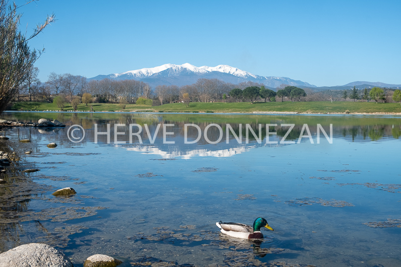 FRANCE ROUSSILLON PYRENEES ORIENTALES LE BOULOU CANIGOU