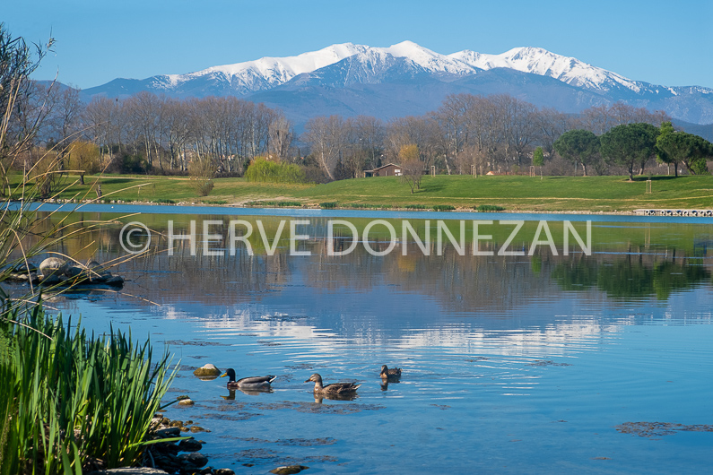 FRANCE ROUSSILLON PYRENEES ORIENTALES LE BOULOU CANIGOU