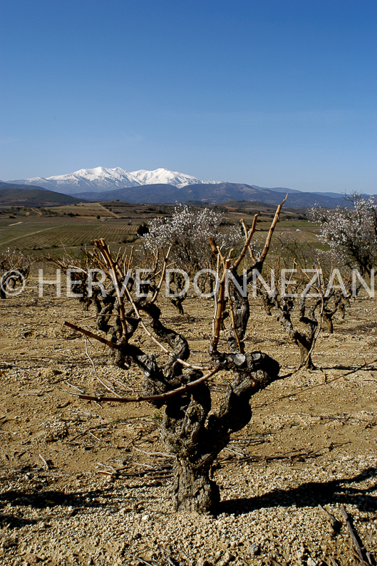 ROUSSILLON ASPRES CEP