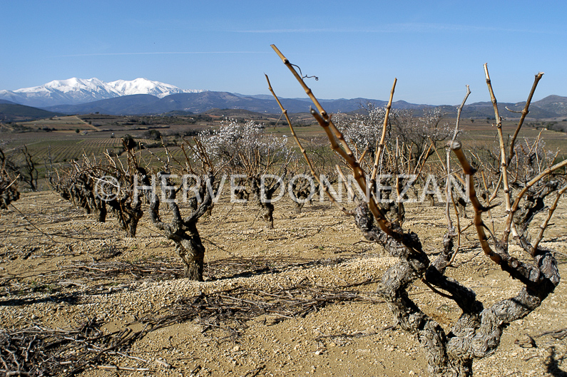 ROUSSILLON ASPRES CEP