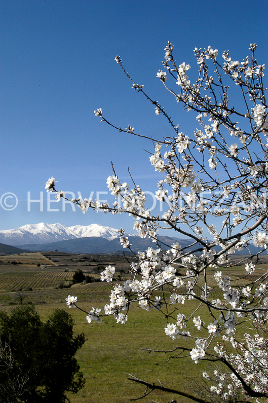 ROUSSILLON ASPRES CANIGOU