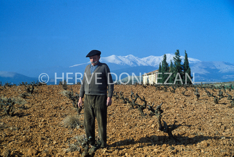 FRANCE PYRENEES ORIENTALES ASPRES CANIGOU