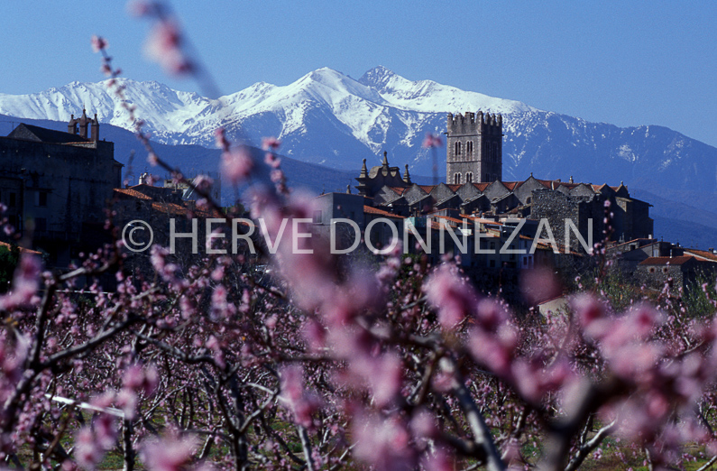 FRANCE PURENEES ORIENTALES ILLE/TET