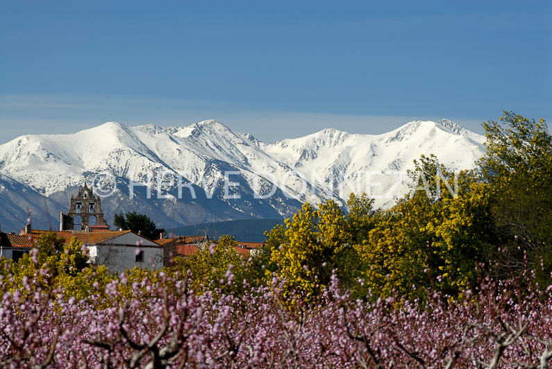 FRANCE PYR.OR. ROUSSILLON VERGERS 