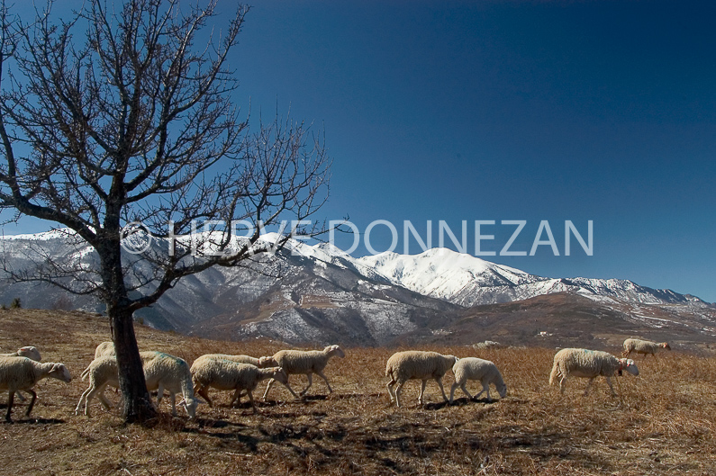 FRANCE ROUSSILLON