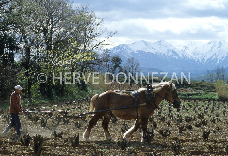 FRANCE ROUSSILLON LES ASPRES