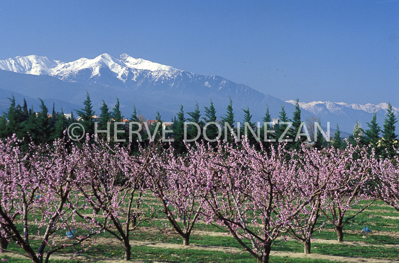 FRANCE PYRENEES ORIENTALES PECHERS