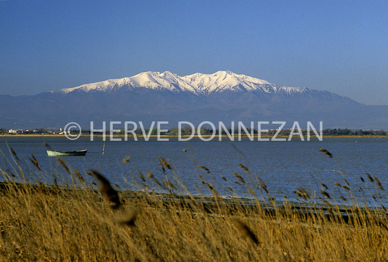 FRANCE PYRENEES ORIENTALES ETANG CANET EN ROUSSILLON