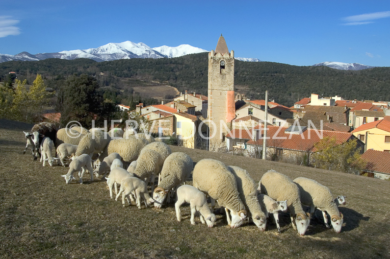 FRANCE ROUSSILLON ASPRES
