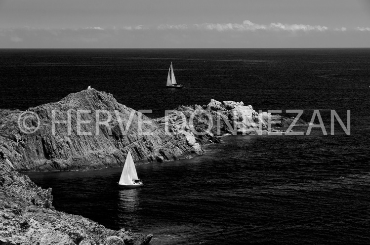 4292_4619_MARINE CREUS_OR