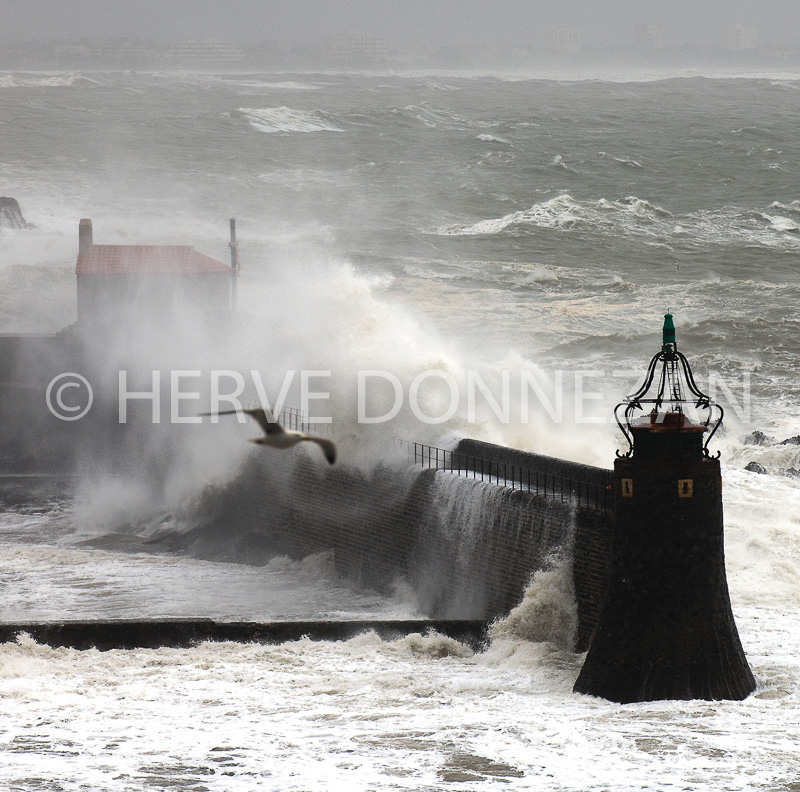 4130_6957_COLLIOURE-TEMP_1