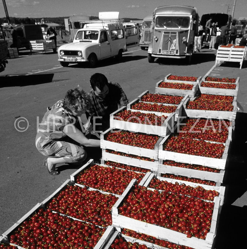 4917°61379_CERISES CERET