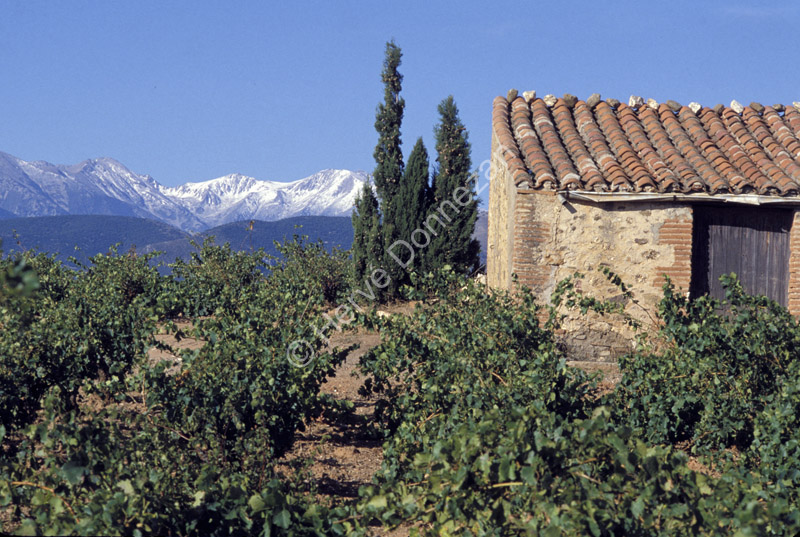 0431_19996_CASOT_CANIGOU_A4