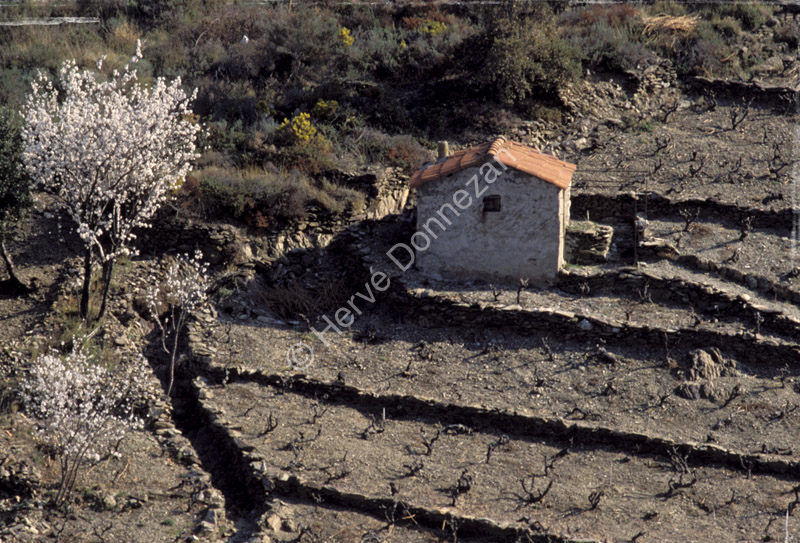 0451 BANYULS CASOT_FA4