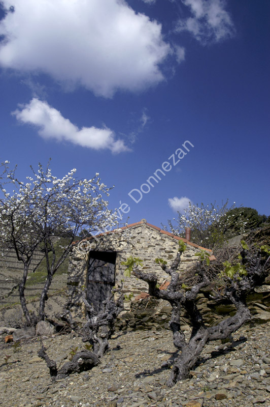 0501 BANYULS CASOT A4