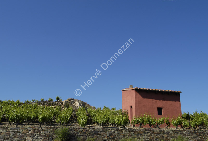 0520 Collioure Casot A4