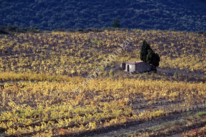 0612 FENOUILLEDES CASOT A4