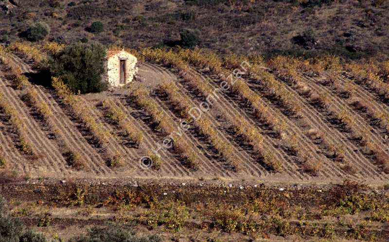 0690.19390 CASOT BANYULS_A4