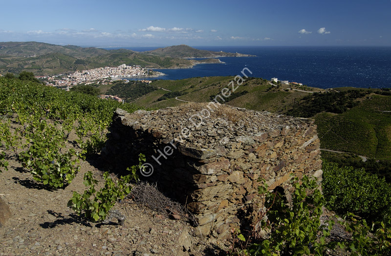 0854_5821BANYULS_BEAR A4