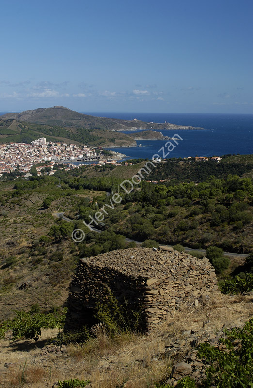 0858_5836 BANYULS LORIE A3+