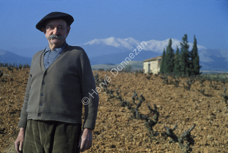 0945_17748 VIGNERON AS#5099