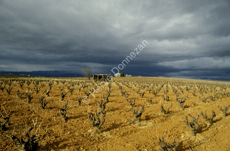 1689_21776 VIGNE ORAGE_A4