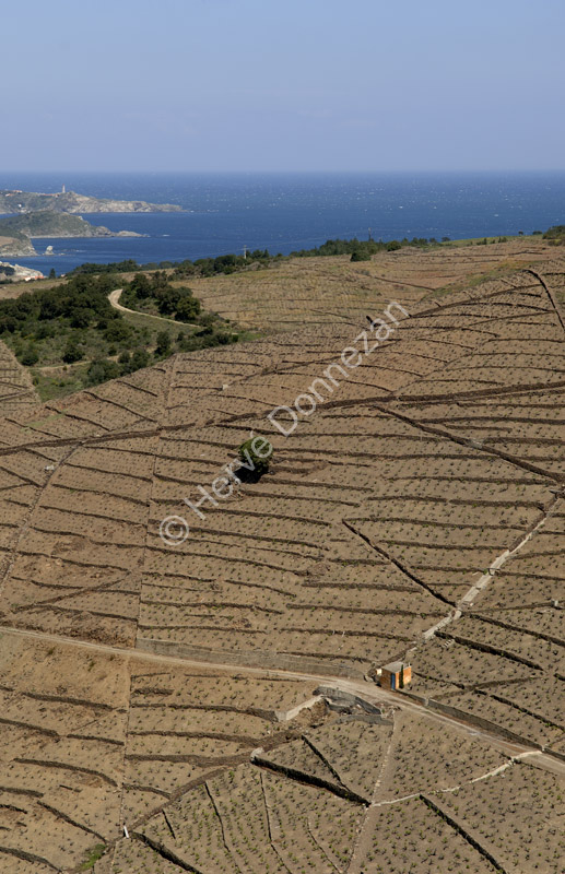 1805-49125-BANYULS-A4