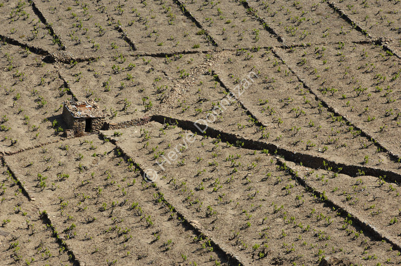 1810_49040_BANYULS_CASOT_A4