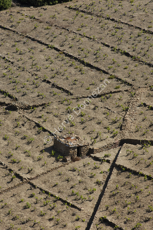 1847_49211_CASOT_BANYULS_A4