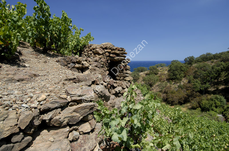1972_4783_BANYULS_CASOT_A4