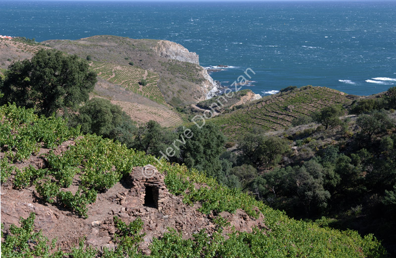 2090-52103BANYULS_CASOT_A4