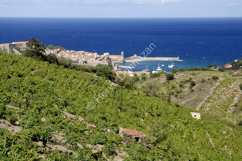 2174_52283_COLLIOURE_C#502B