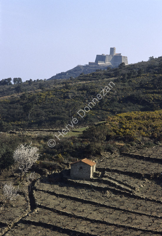 2572_22264_COLLIOURE C#500A