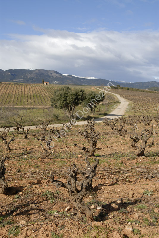 2680_46221_VIGNES_CASOT_A4