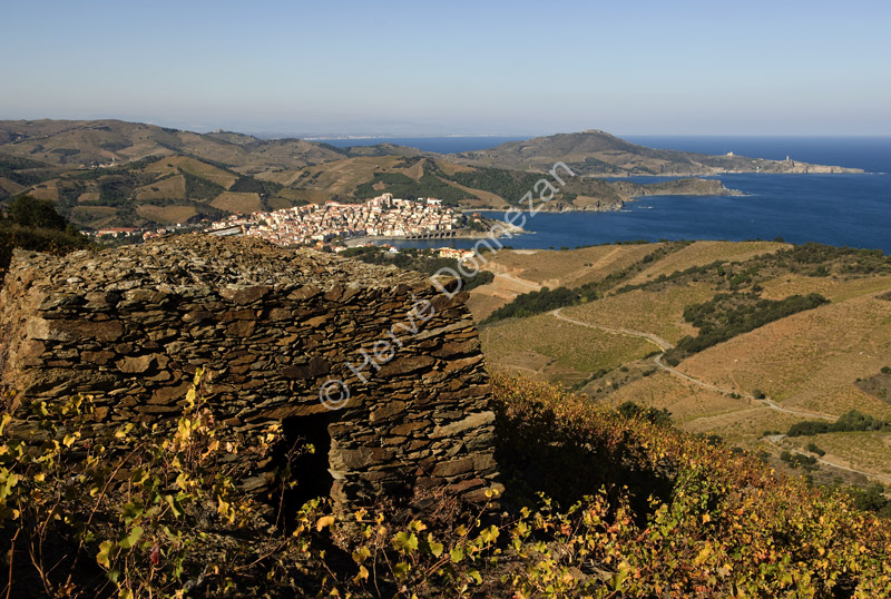 2833_80114_BANYULS_CASOT_A4